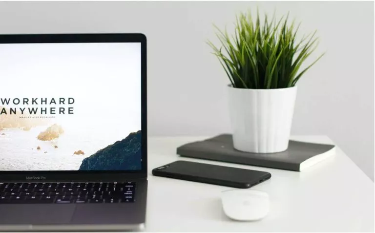 How a professional website design can help your business grow and expand your audience